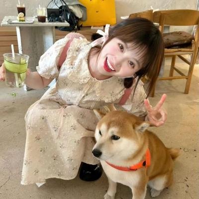 孪生陌生人